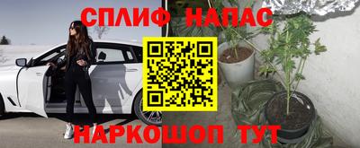ГАЛЛЮЦИНОГЕННЫЕ ГРИБЫ Шелехов