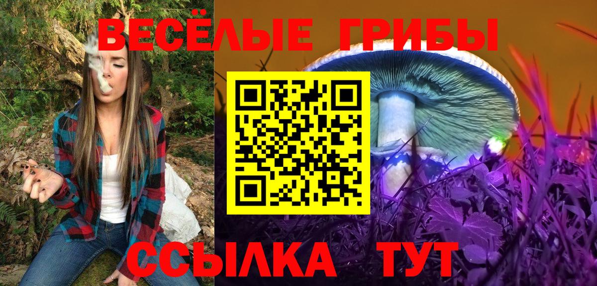Галлюциногенные грибы Psilocybe Зеленогорск